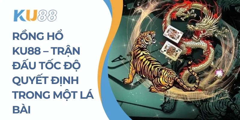 rồng hổ